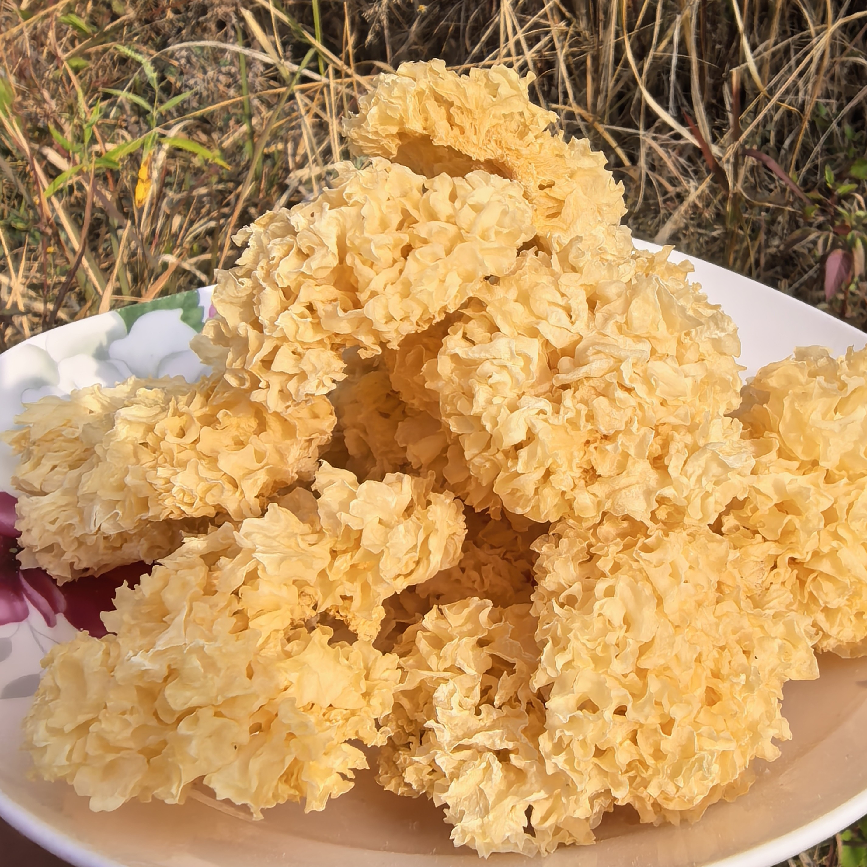 《奇少云南土特产》农产品*银……耳