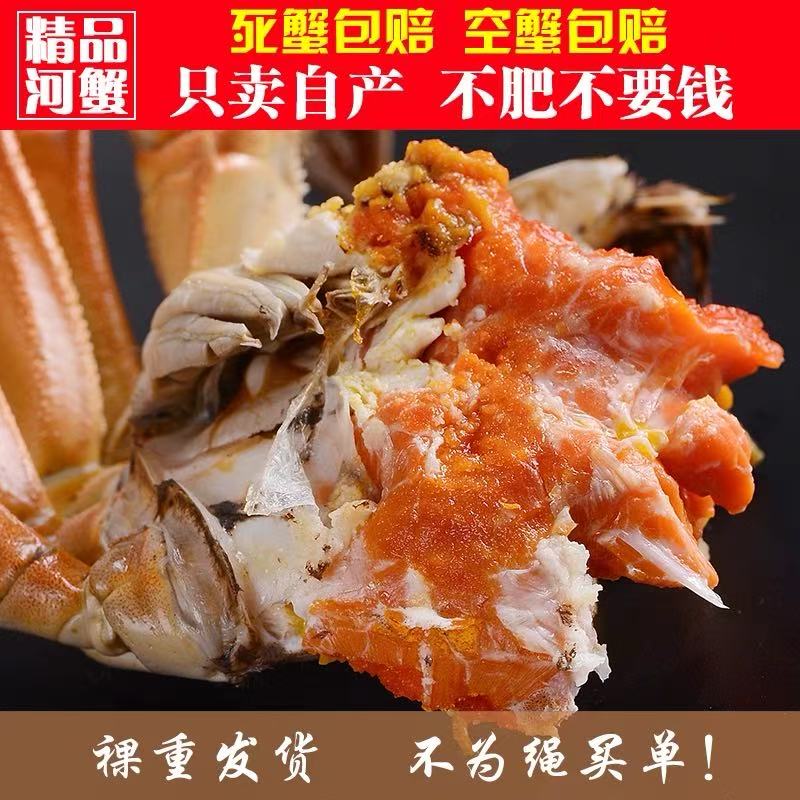 【活蟹】盘锦河蟹 0.8~1两 母蟹30只