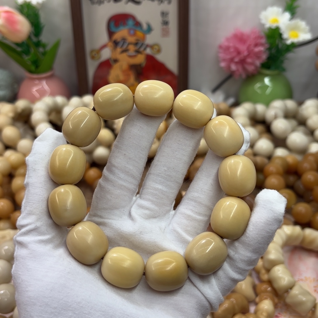 吊坠菩提根/象牙果20干磨瑕疵牙果枣389