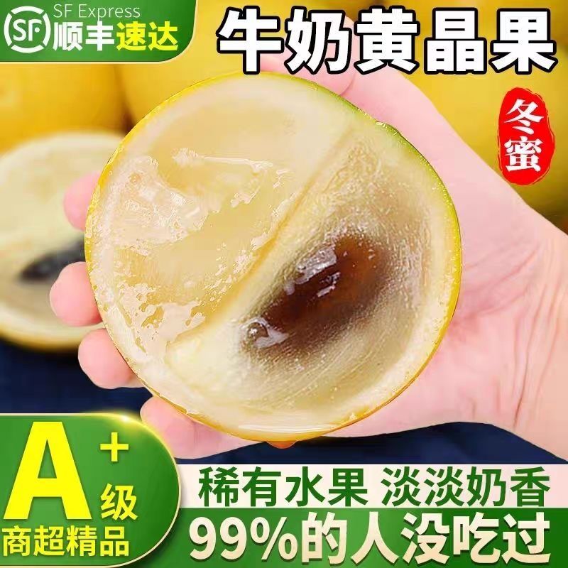 广西新鲜牛奶黄晶果当季高端黄金果清甜爽口果冻丝滑顺丰包邮