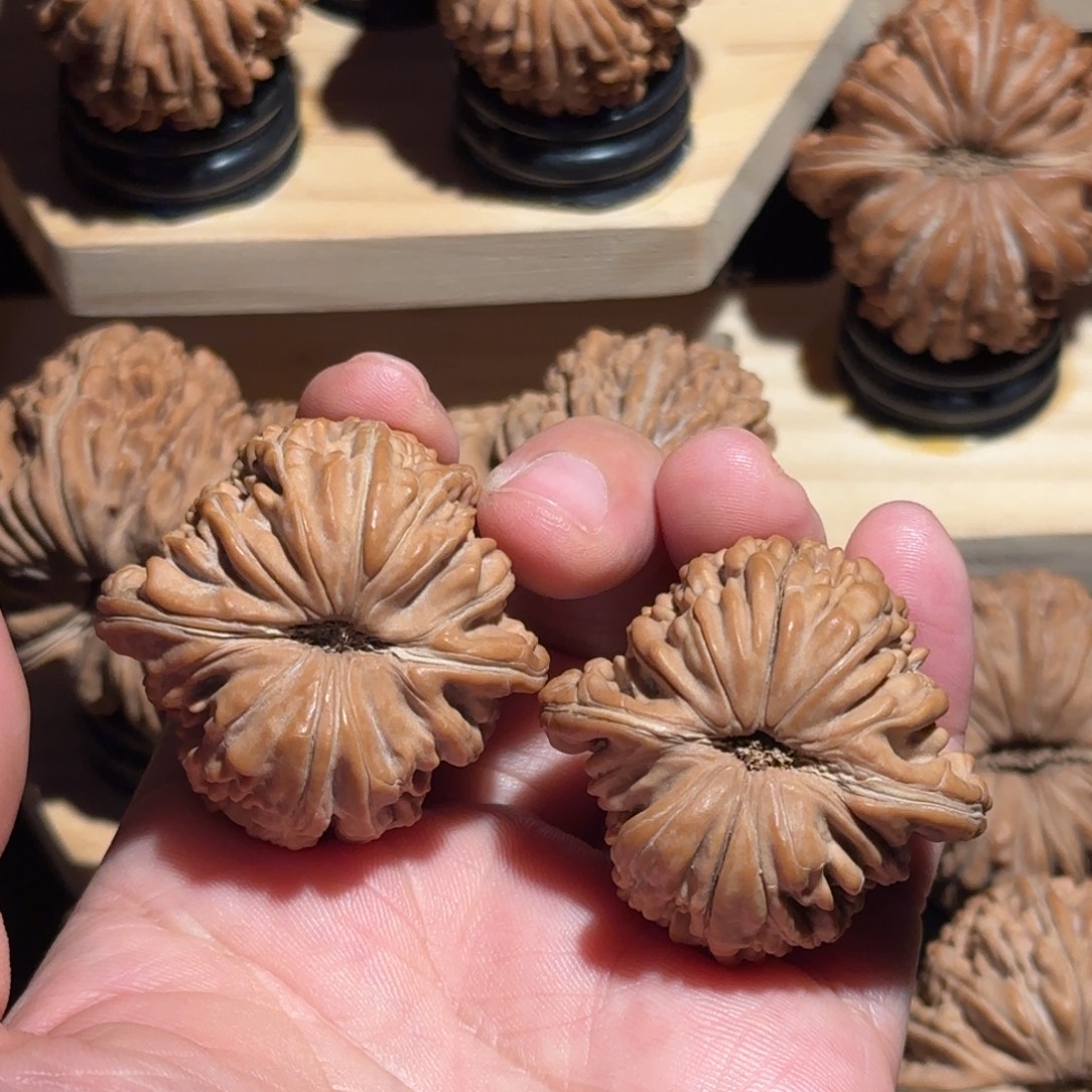 永***滚核桃39全品白茬楼子