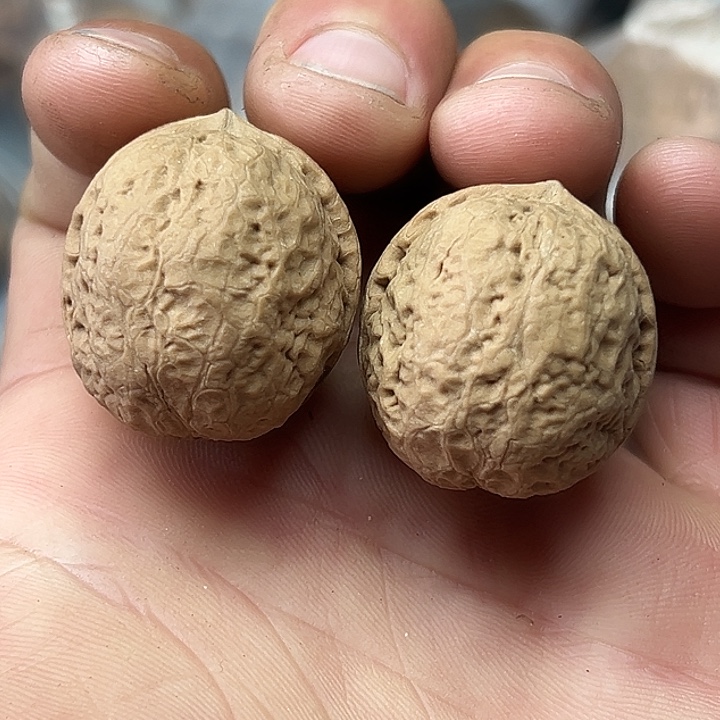 文玩核桃把件10号靓仔小馒头34尺