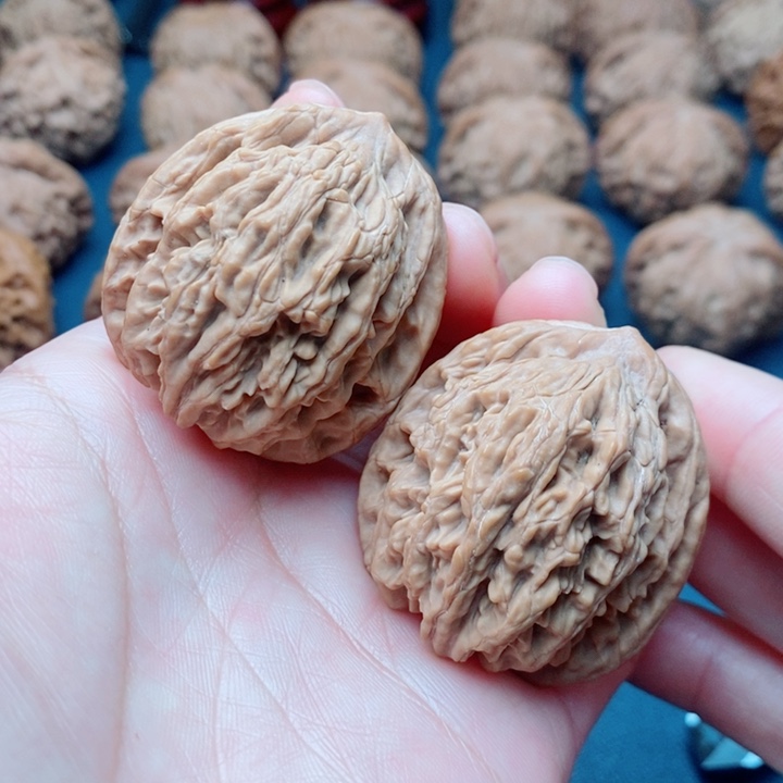 文玩核桃把件38麦虎