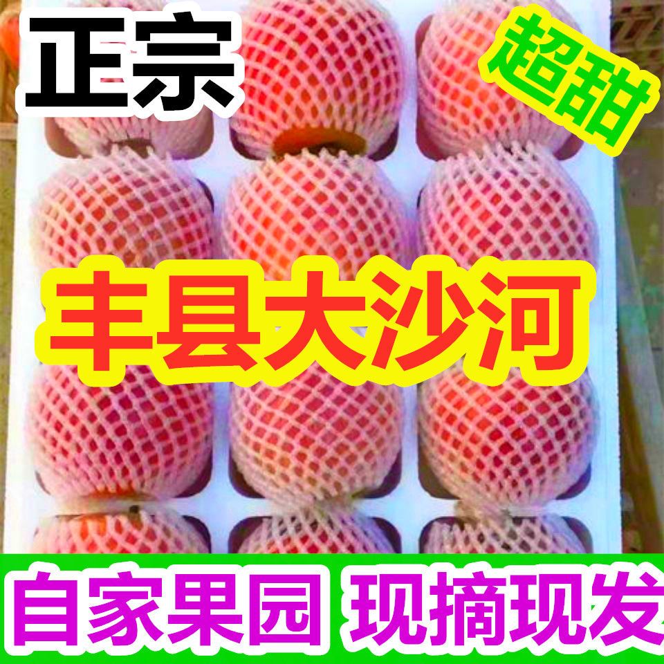 正宗丰县大沙河红富士脆甜多汁整箱包邮应季水果