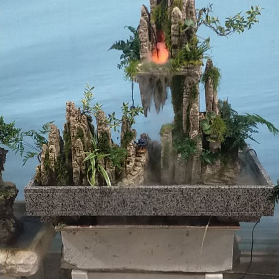 吸水石绿植盆景园