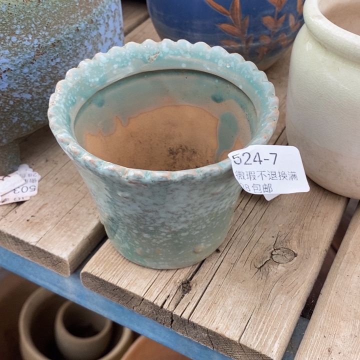 7号多肉盆小可爱