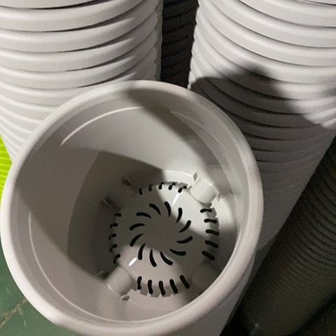 树脂四季2号灰白无托20个微瑕