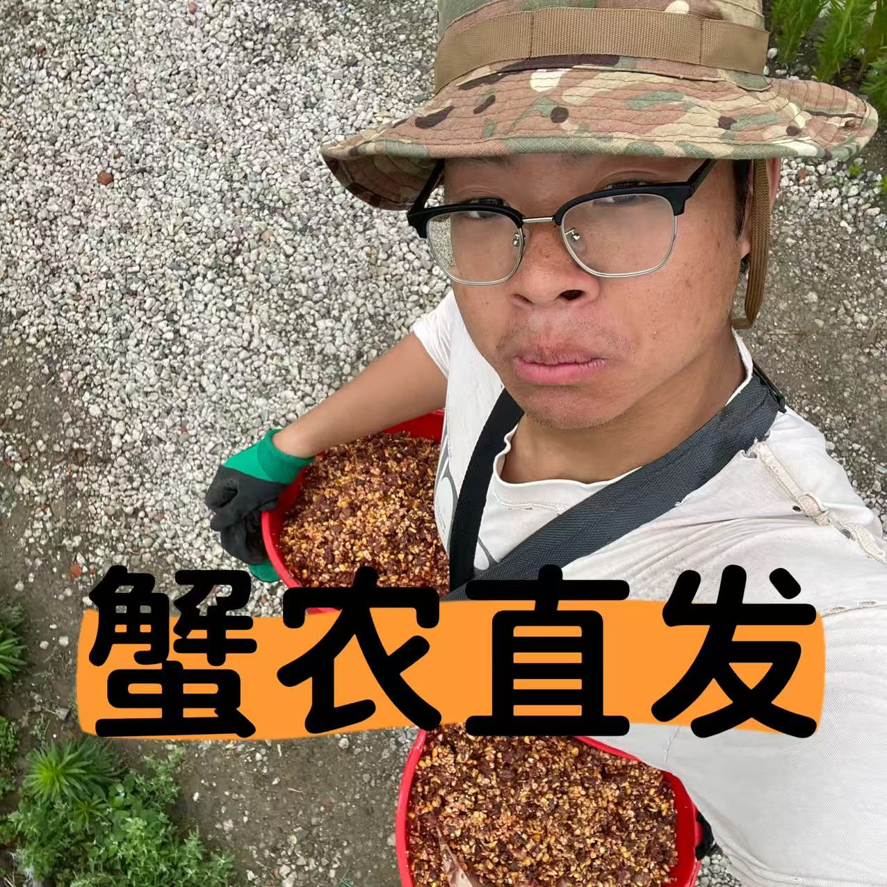 渔澄【活蟹】渔澄大闸蟹公4.8-5.1两母3.8-4.1两多只礼盒装