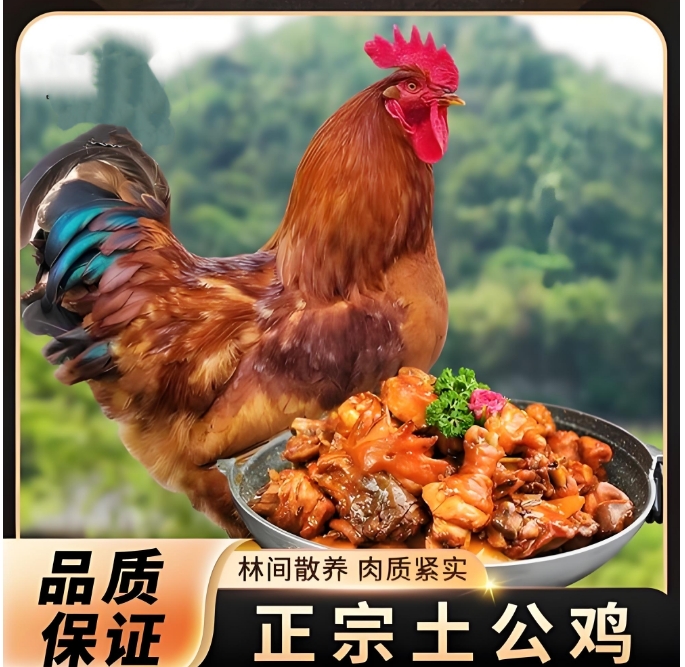 三只散养草原红大公鸡带一斤鸡胗一斤鸡心（共重10斤）
