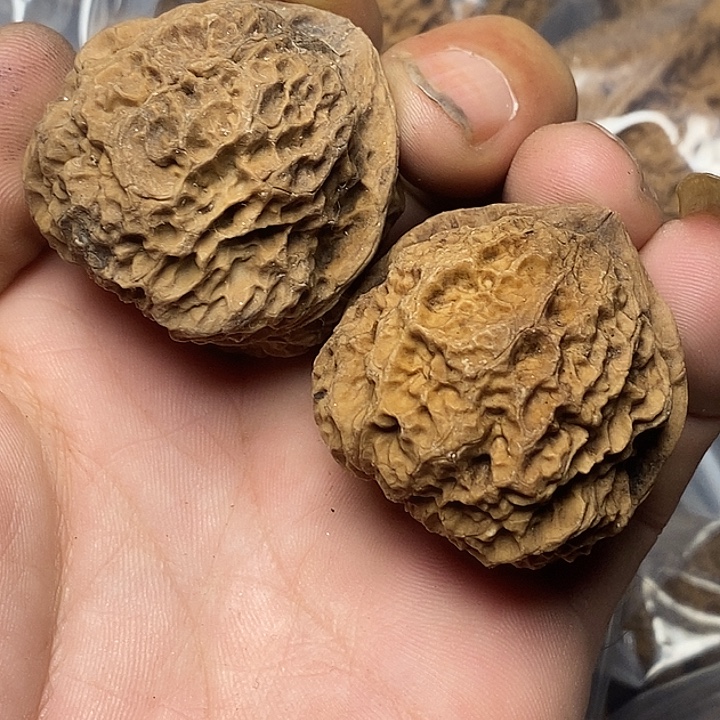 文玩核桃把件云南铁核桃34