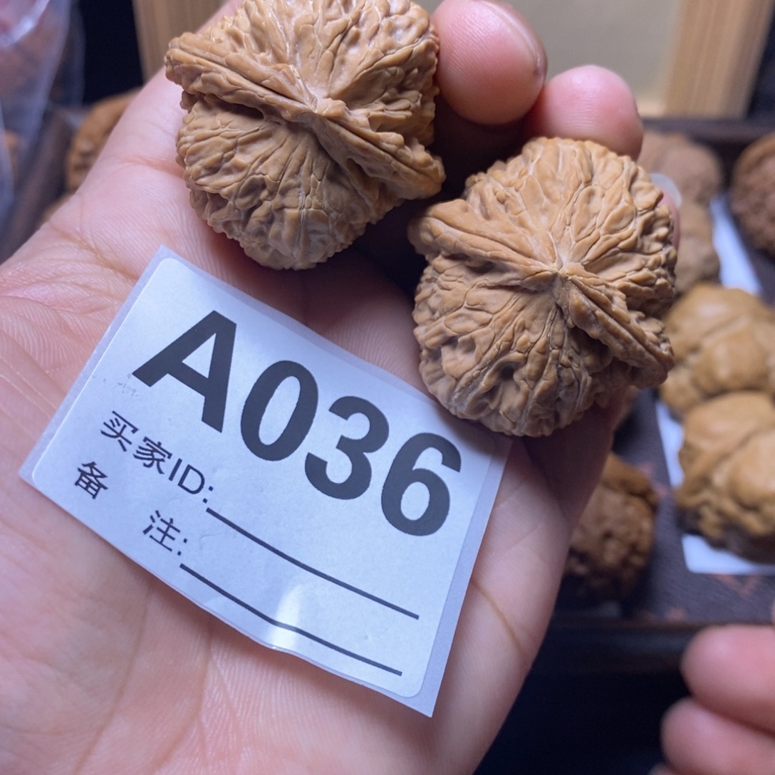 把件文玩核桃40尺白狮子