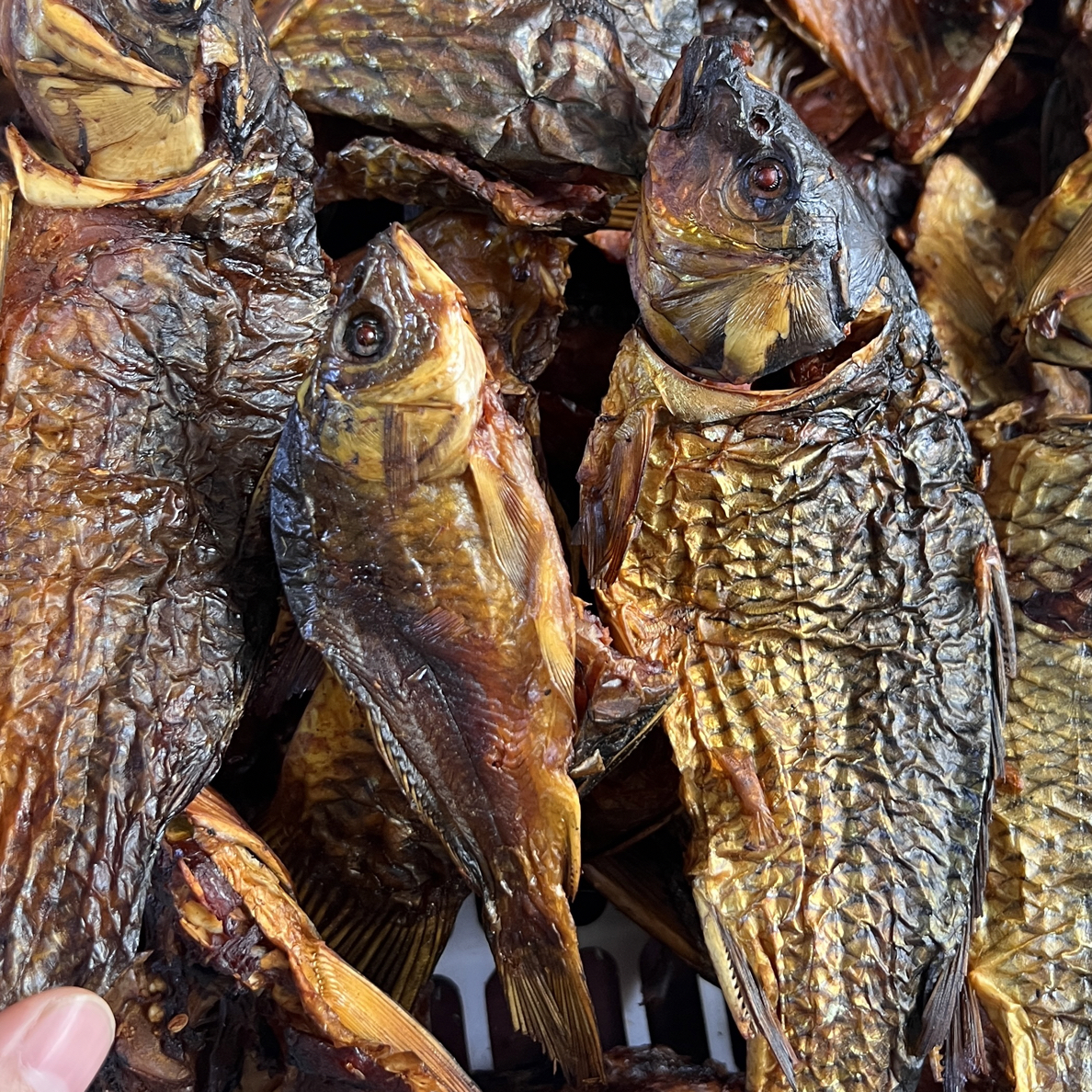 江鲤鱼（烟熏烘烤干）