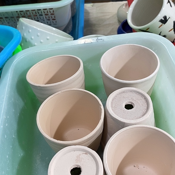花盆抢购清货马上开始