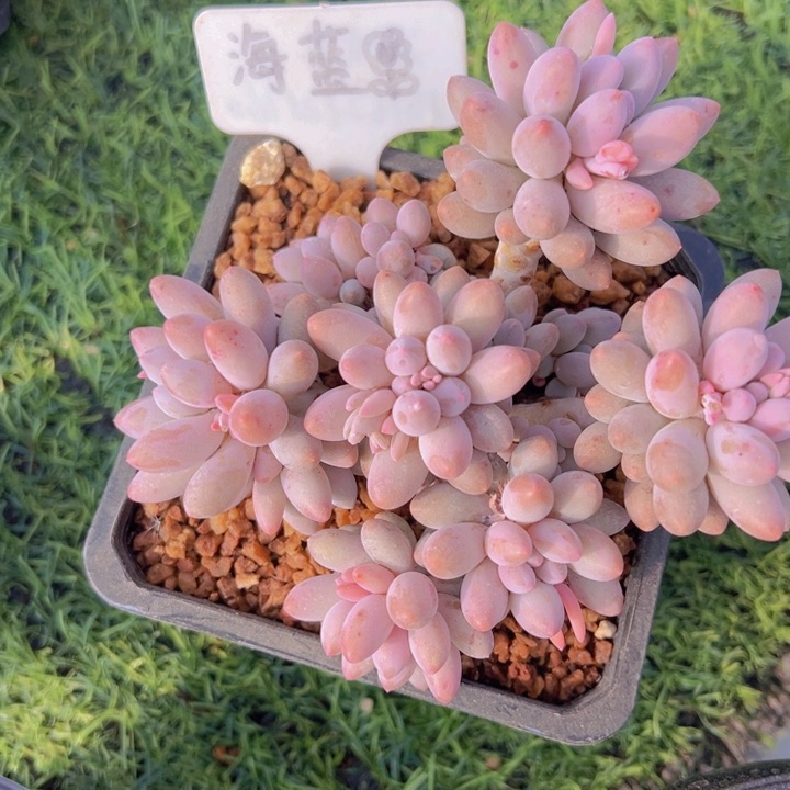 健健康康平平安安