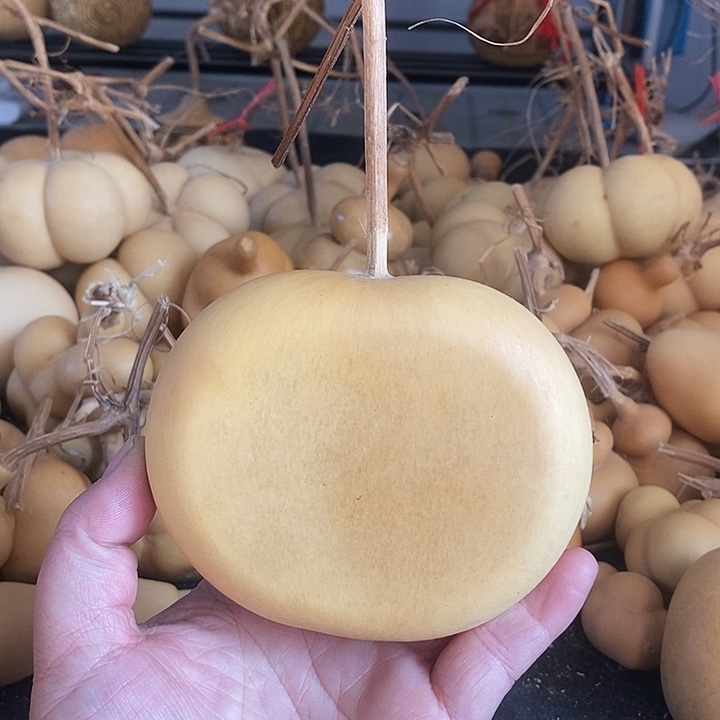 韩****?葫芦的颜色很好看