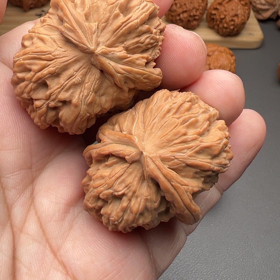 文玩核桃把件白狮子异形