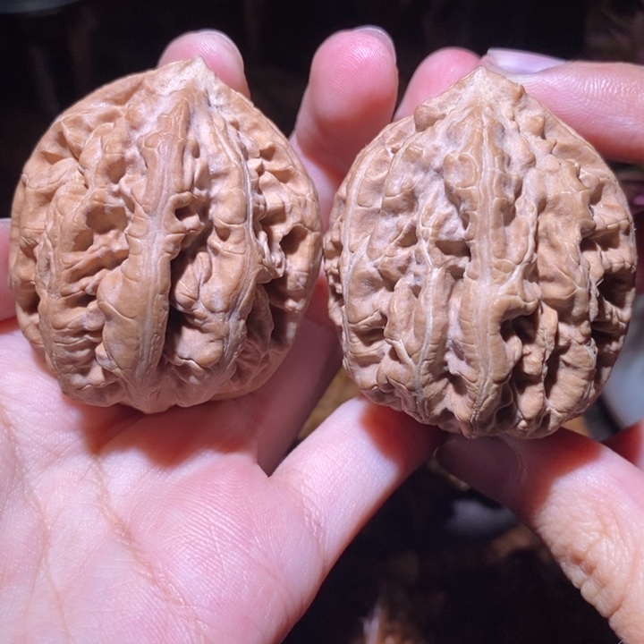 把件文玩核桃东北野生楸子小园183