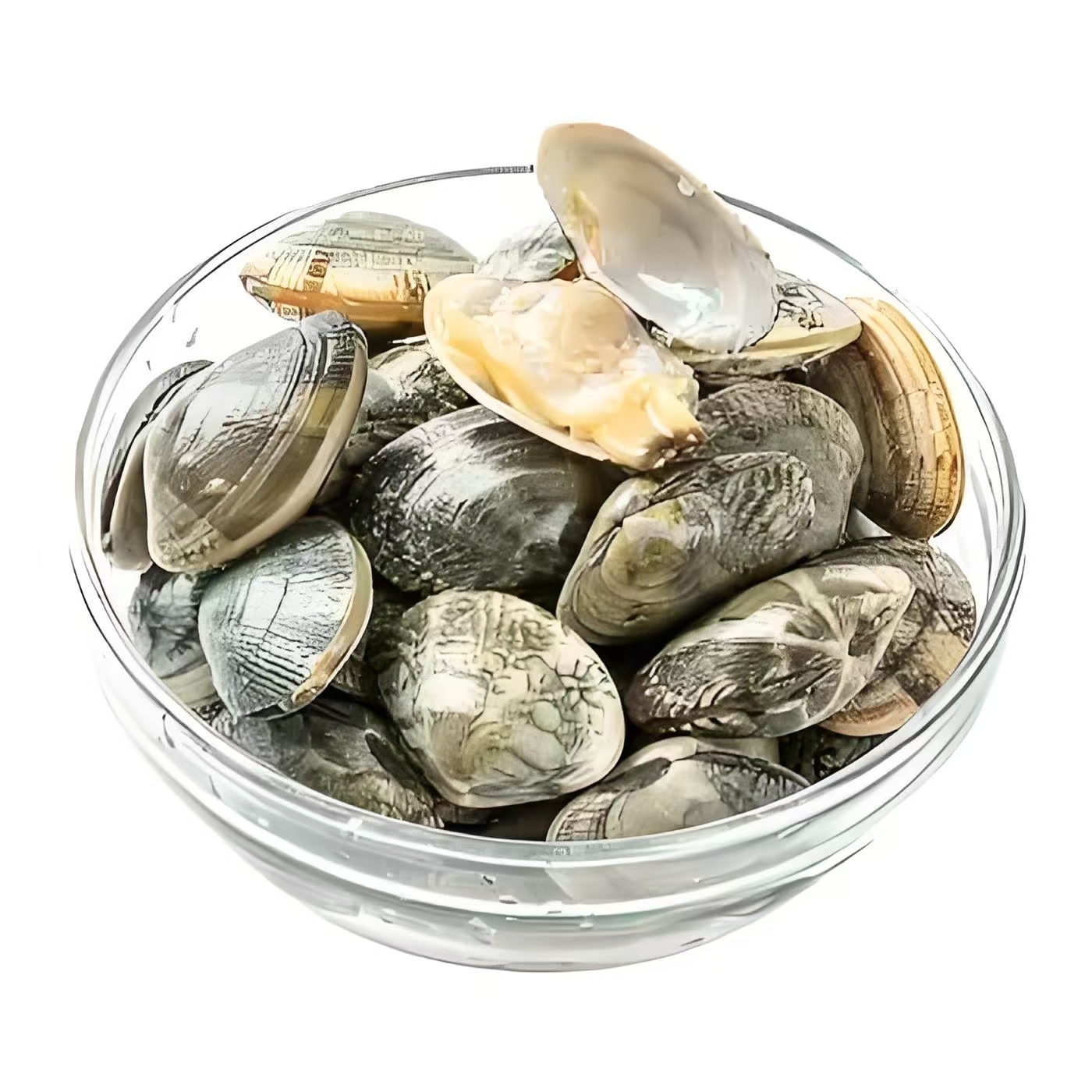 花甲铁板花甲辣炒花甲