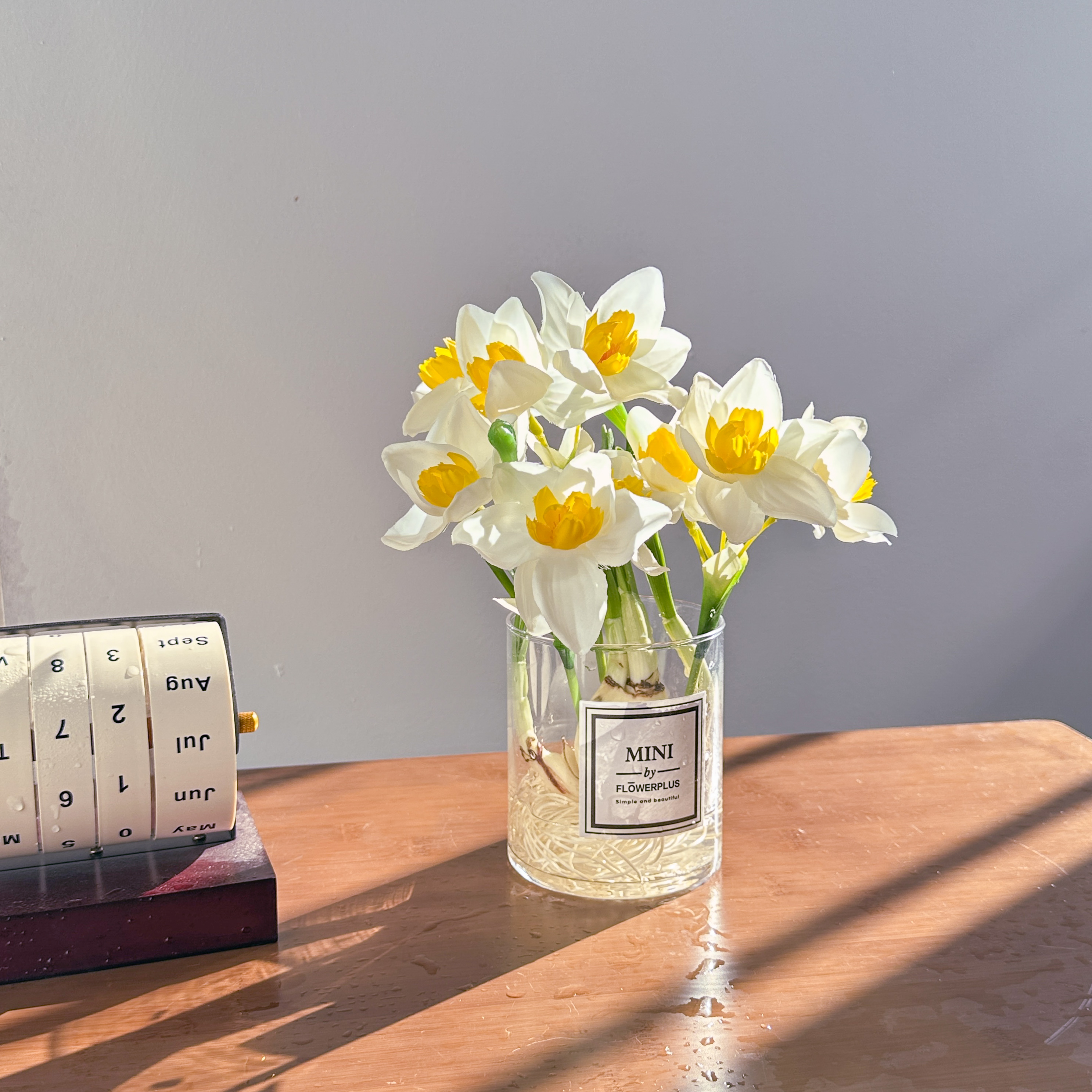 水仙花特级水养花卉室内水培带芽发货