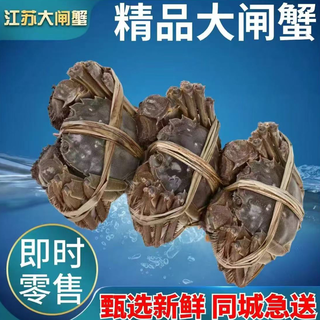江苏【2.5两母蟹】单只，带硬黄 螃蟹 大闸蟹（武汉同城跑腿1-2小时送达）
