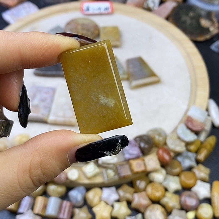 针钠钙石（海纹石）未镶嵌颈饰10