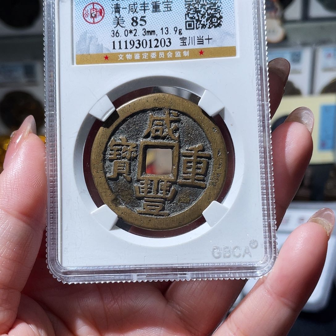 铜小亦精选 公博川十1203