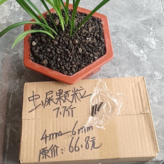 白***净兰菌黑山土虫屎颗粒7.7斤