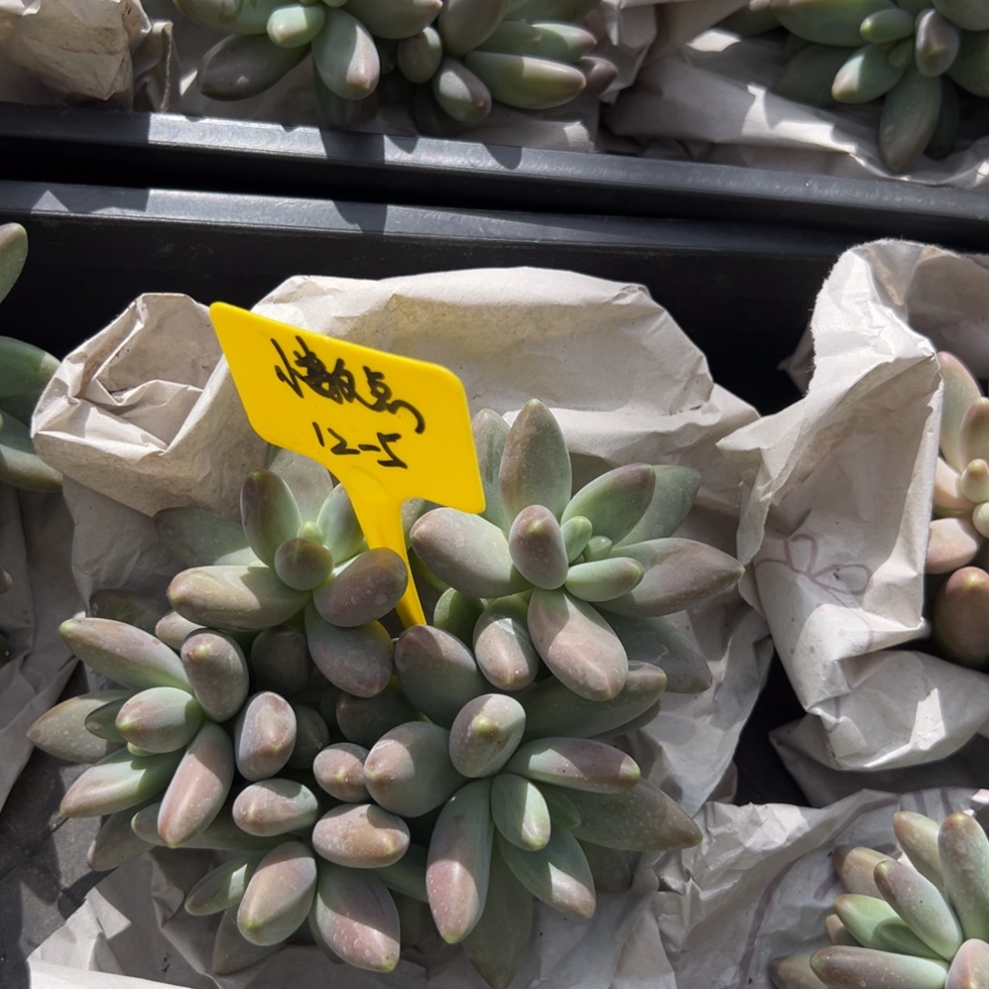 12511111111111111111111