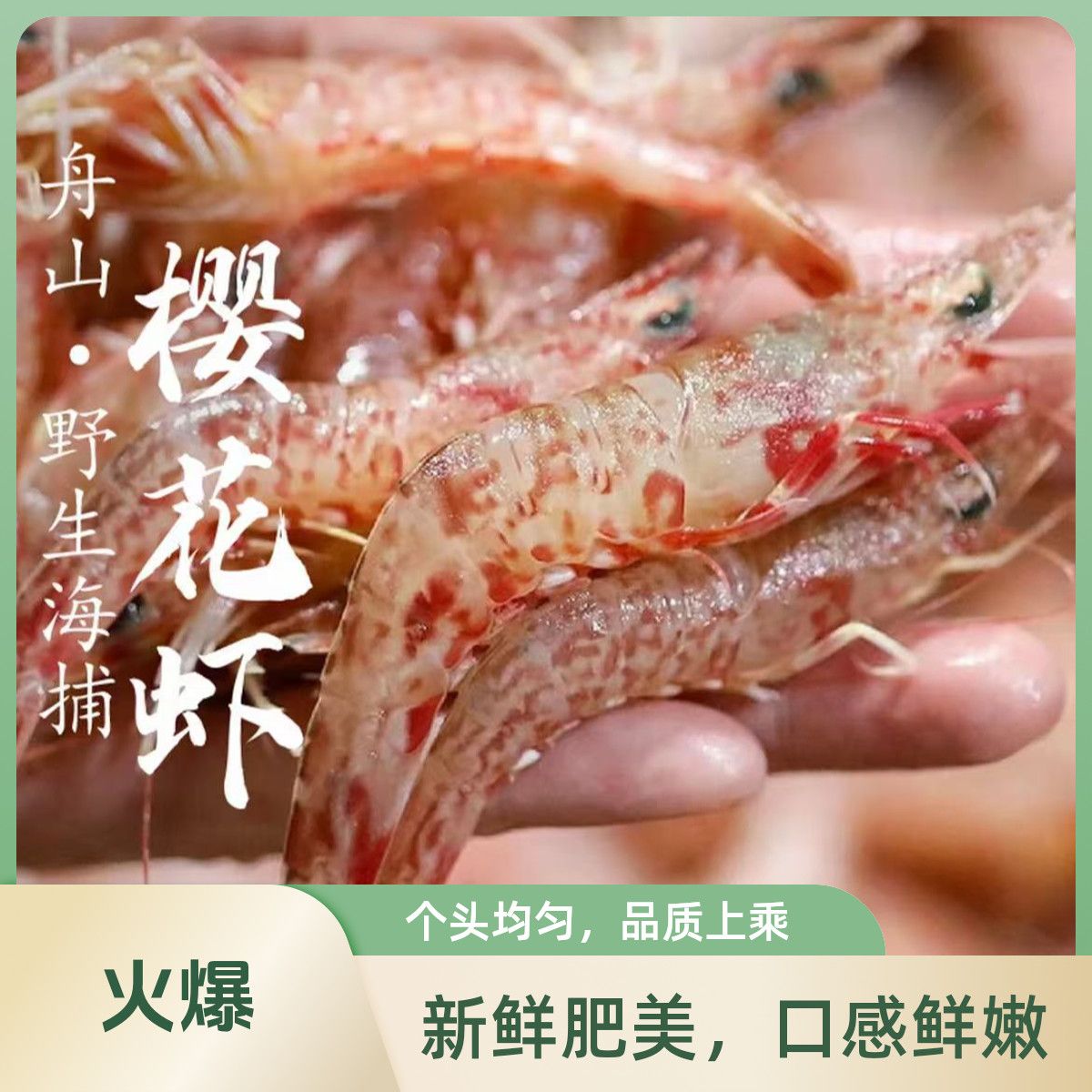 舟山野生樱花虾海捕深海火焰虾 可生腌刺身 野生船冻樱花虾