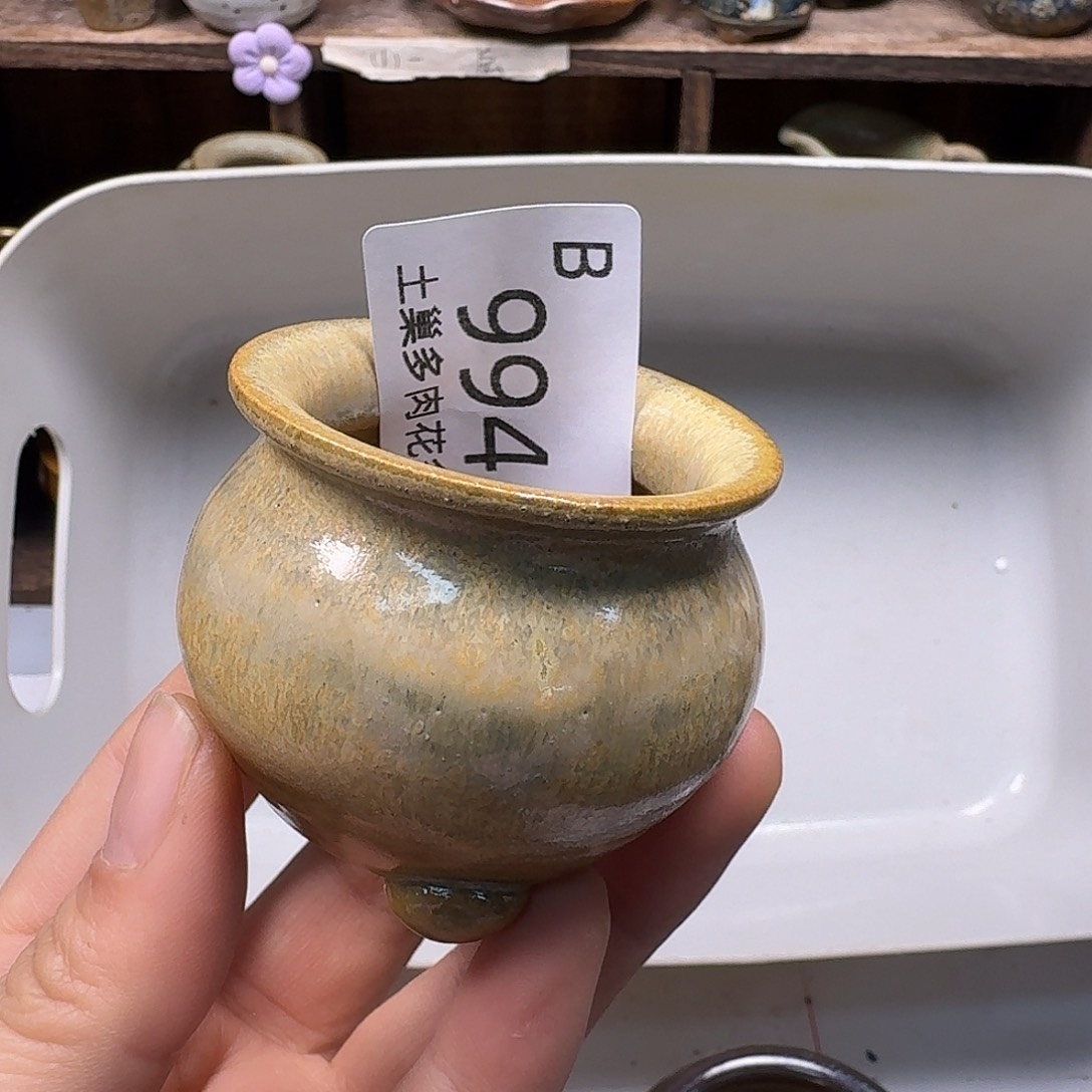 罐生*花陶瓷艺术品设计与制作