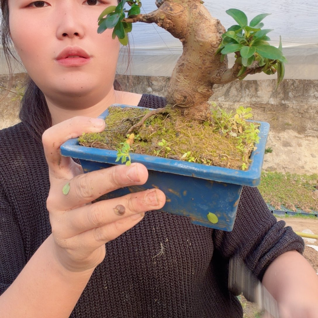 北***哥无花朵吗的目的吹个风