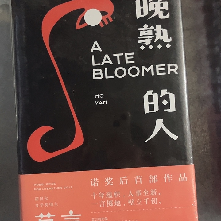 晚熟的人新书推荐