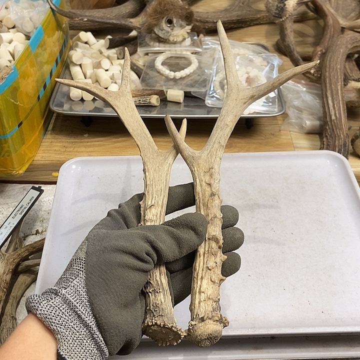 丽***大叶紫檀（黑酸枝木类）