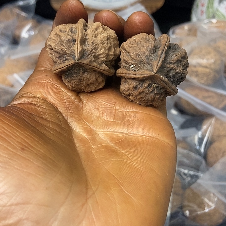 把件文玩核桃云南铁核桃基地36