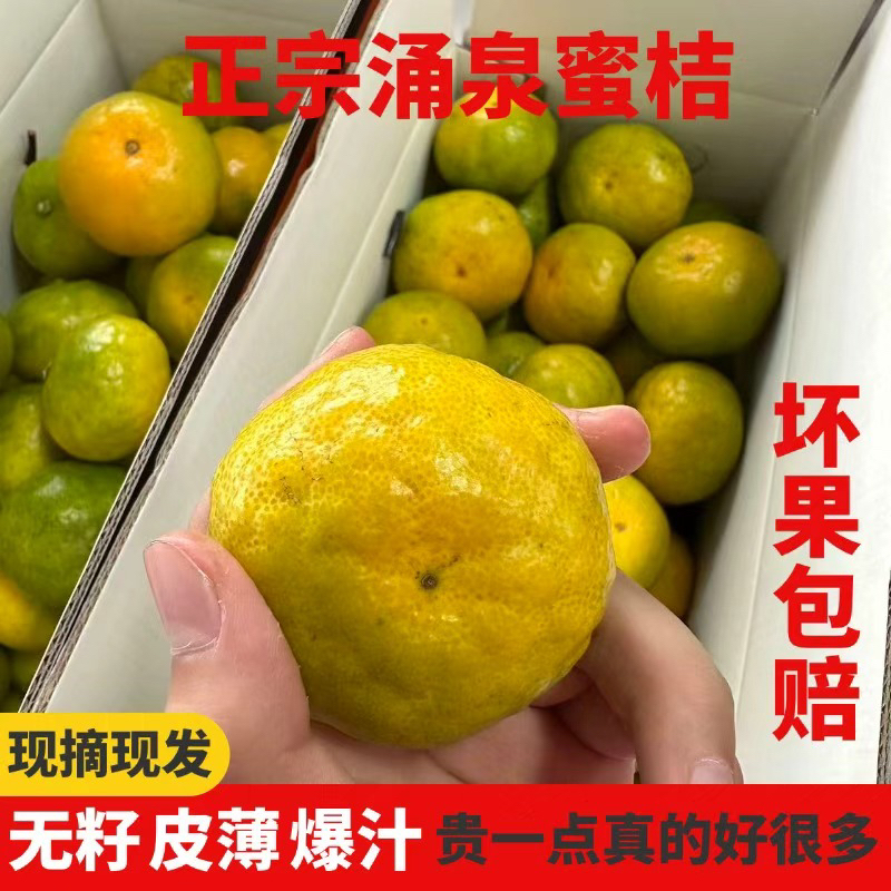 正宗新鲜涌泉大丰青皮蜜橘皮薄爆汁清甜当季水果无籽现摘现发包邮