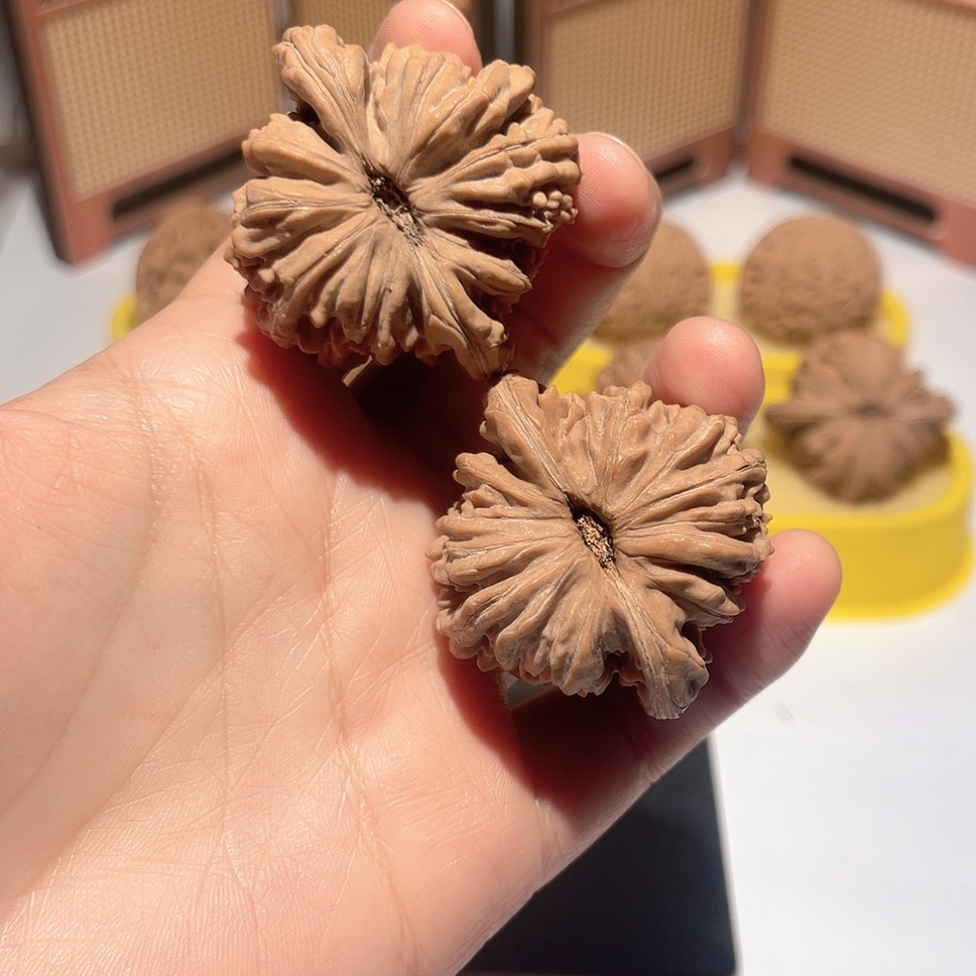 林***琅核桃44无药山地楼