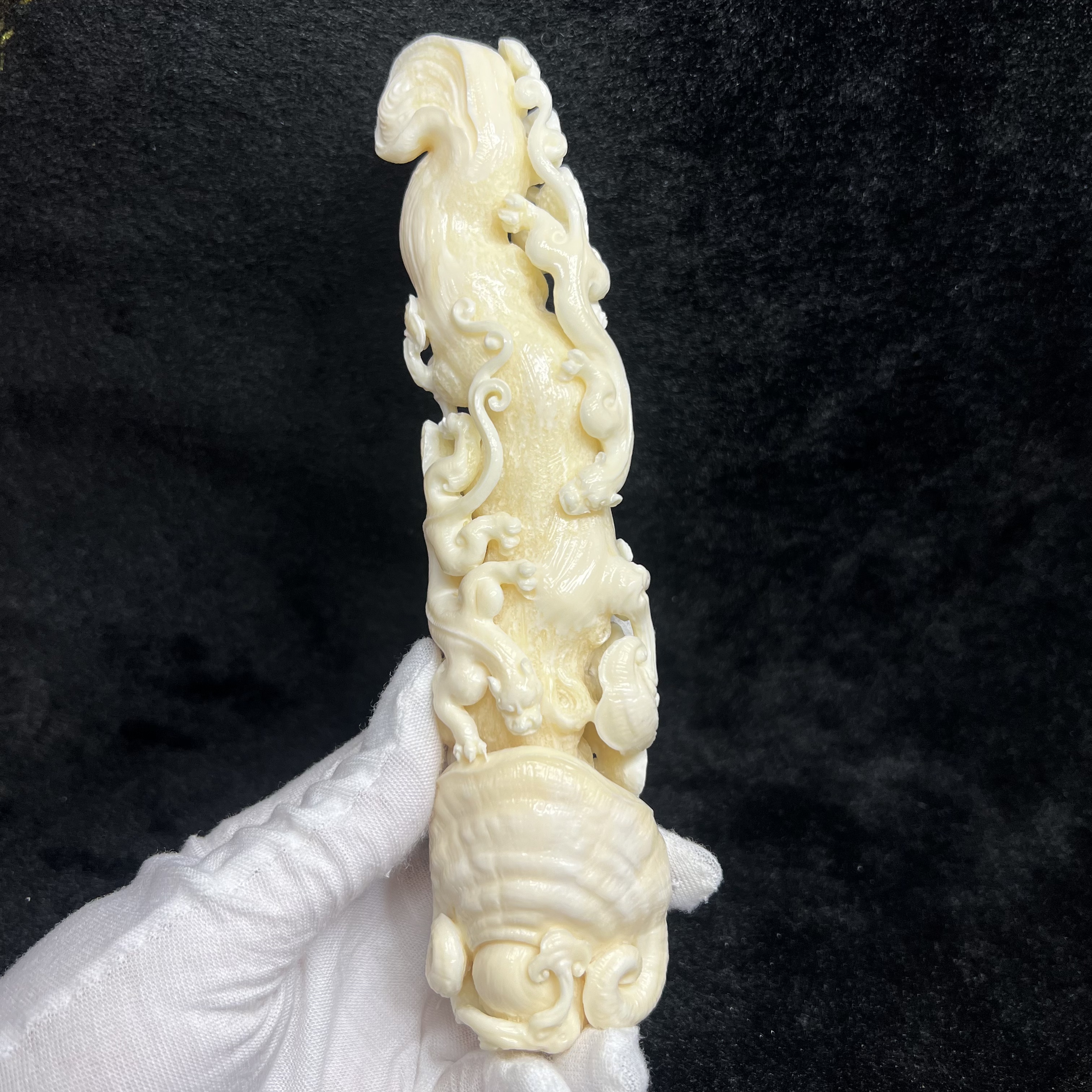 A0032赤龙灵芝猛犸牙工艺品