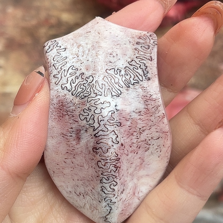 养殖鹿骨三界牌子