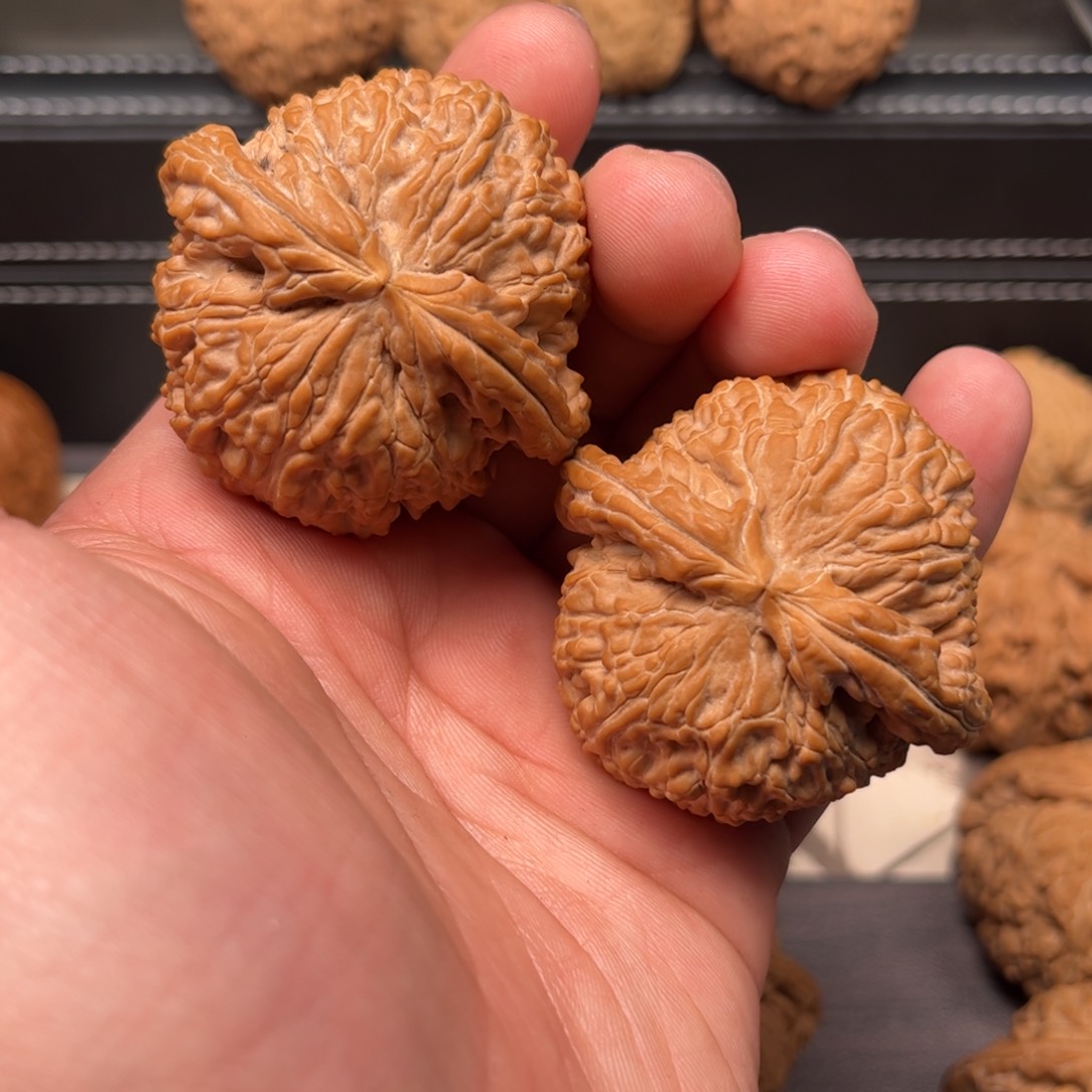 文玩核桃吊坠马*神49白狮子