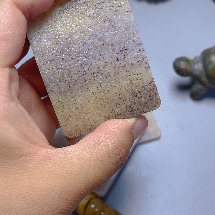 大果紫檀（缅甸花梨）