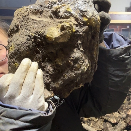 香榧木红*火琉璃的毛料摆件