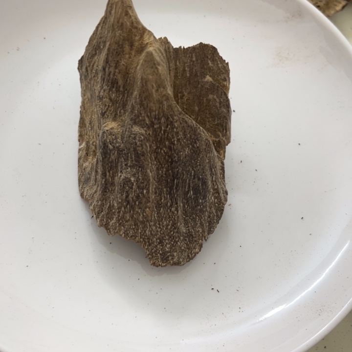 沉香沉香木制品海南壳子10克