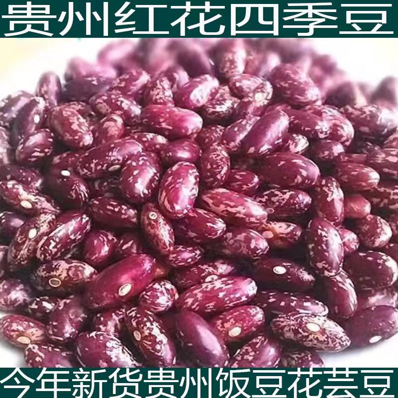贵州新花豆今年新花豆豆香味十足不瘪不烂【包邮】