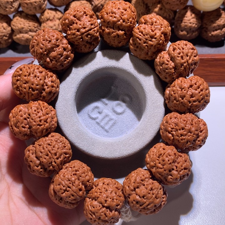 金刚菩提手串23+定制款踏天