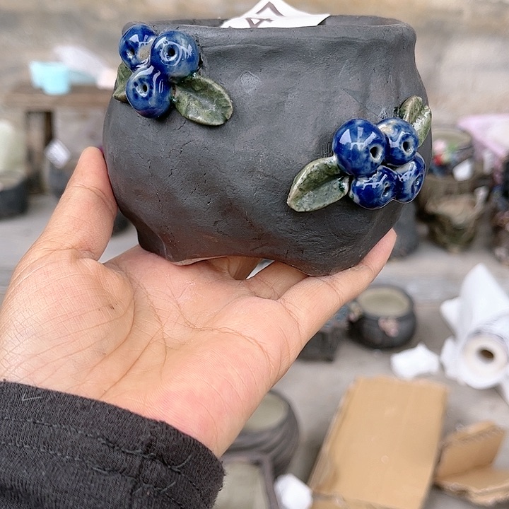 红陶要不要这样呢？这个节目