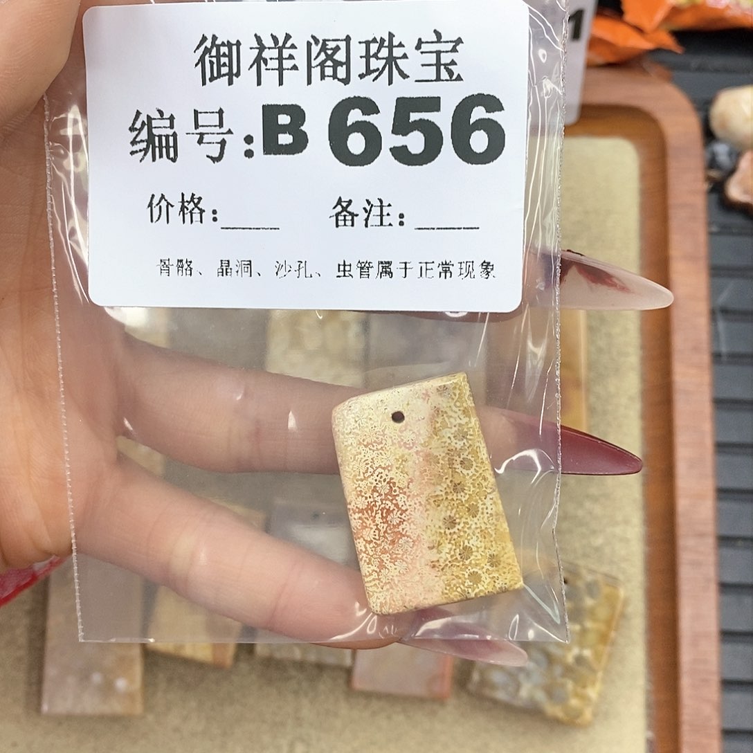 硅化珊瑚（珊瑚玉）颈饰未镶嵌江****?