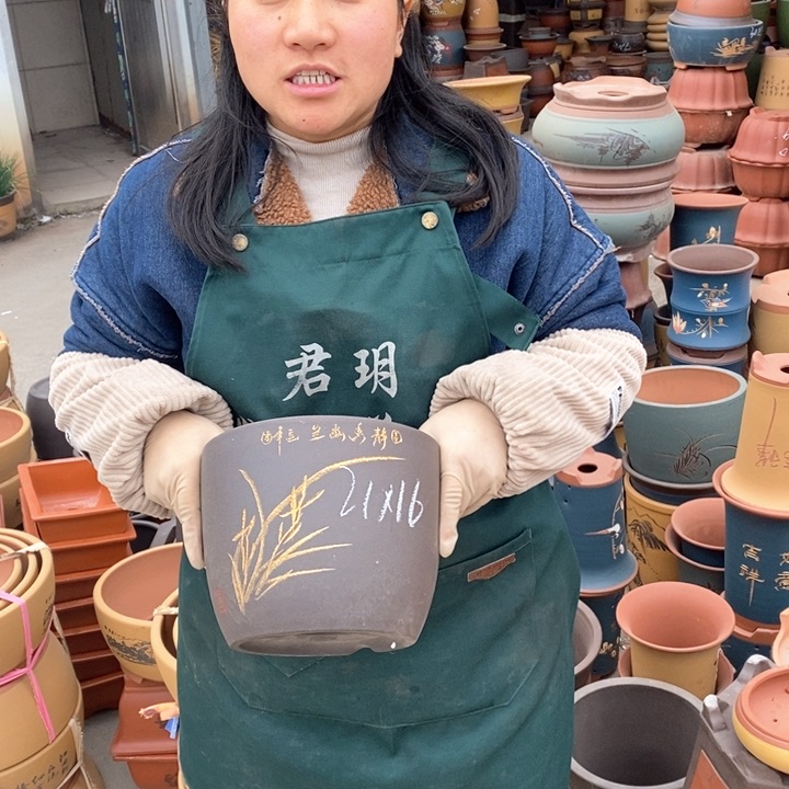 紫砂花盆盆栽花卉苗木种植