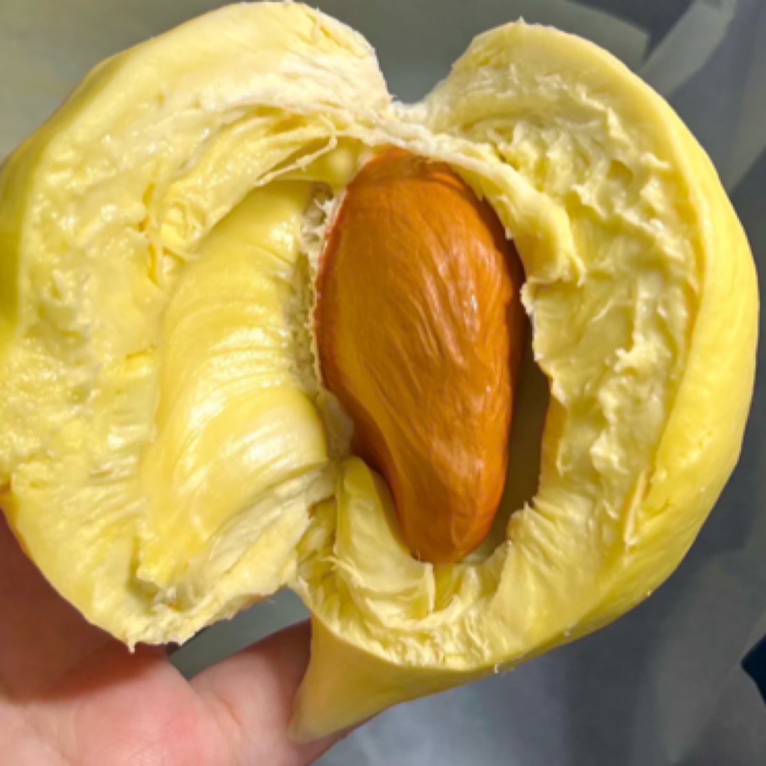 【特价】新鲜榴莲小时达 1.5斤左右金枕果肉微瑕疵肉厚核小金枕泰国东部