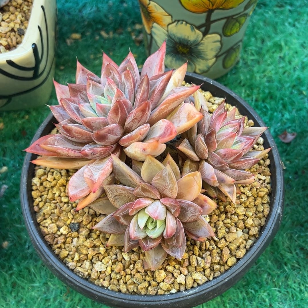 ， ，，，，，，，，，，，，，，，，，