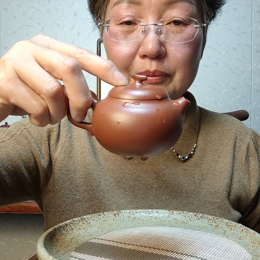 紫砂茶壶山**乐大红袍泥料。小鸟依人